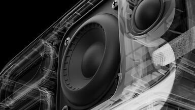 Bose SoundLink Plus Portable Speaker – Nexxbase | Bose Authorized